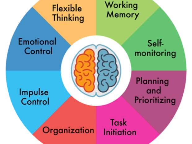 Νοητικές Εκτελεστικές Λειτουργίες